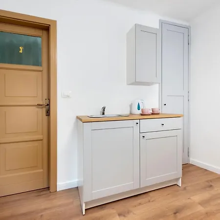 Adriatic Dream 公寓 罗维尼