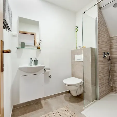 Adriatic Dream 公寓 罗维尼